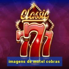 imagens de motel cobras